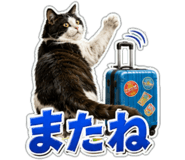 863033228