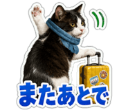 863033229