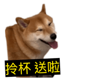 863035705