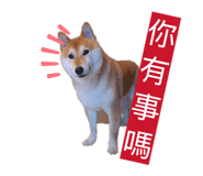 863035706