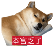 863035709