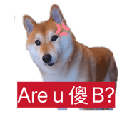 863035710