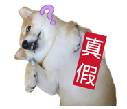 863035711