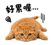 863036171