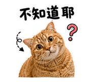 863036175