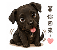 863039219