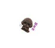863039611