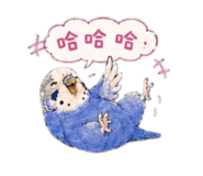 863040065
