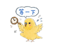 863040077