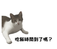 863042625