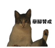863042630