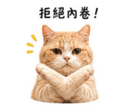863042919