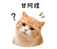 863042940