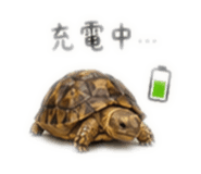 863047287