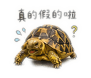 863047578