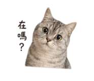 863050013