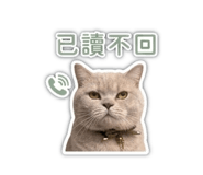863051391