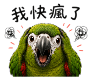 863053980