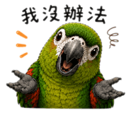 863053989
