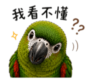 863054000