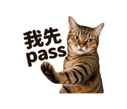 863055349
