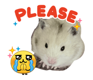 863055483