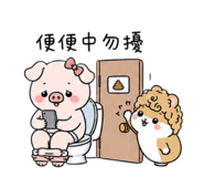 863055562