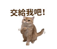 863055860