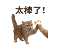 863055863