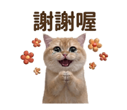 863055864