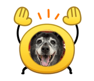863056366