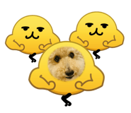 863056369