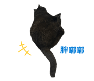 863058990