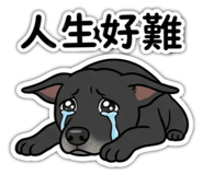 863059042