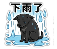 863059049