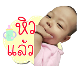 86307354