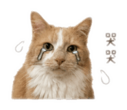 863082269