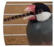 863082602