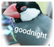 863082604