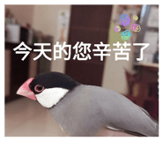 863082608