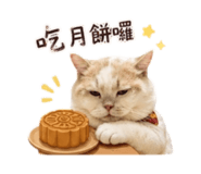 863083122