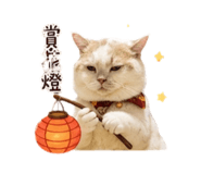 863083123