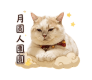 863083127