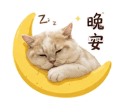 863083134