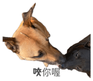 863084180
