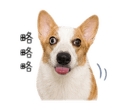 863086235