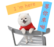 863087183
