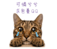 863089519