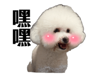 863089626