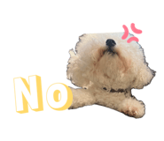863089629